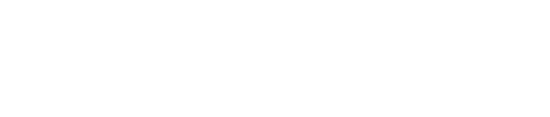 Newstanis Protegge i tuoi Valori